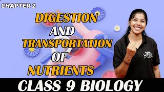 DIGESTION AND TRANSPORT OF NUTRIENTS  CLASS 9  BIOLOGY  NEW SYLLABUS  SURE QUESTIONS  PART 1 [upl. by Vrablik]