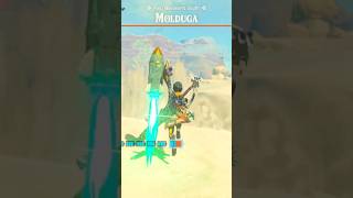 Easily Destroy a Molduga in Zelda Totk [upl. by Jeannine]