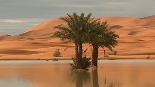 Marocco le piogge ridanno vita a un lago nel Sahara [upl. by Ahsikam]