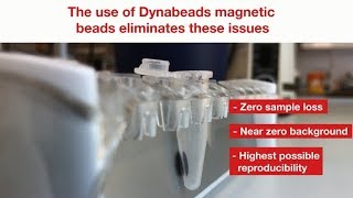 Immunoprecipitation How to Avoid Background and Increase Reproducibility [upl. by Jat]