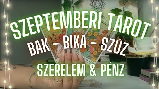 ✨ Bak Bika Szűz szeptember havi tarot ✨ szerelem ❤️ pénz 💸 ✨ Mit hoz ez a hónap ✨ [upl. by Anna-Diana743]