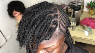 NATURAL HAIR TWIST AND CORNROWS  4C NATURAL HAIR PROTECTIVE STYLE [upl. by Adnema400]