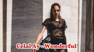 Celal Ay  Wonderful [upl. by Carn]