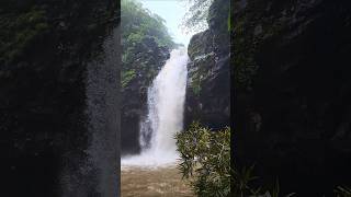 The Most Beautiful Waterfalls on Earth😲🇮🇳 shorts [upl. by Wolk]