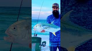 What A FIGHT Destin Florida Fishing shorts [upl. by Dinse]