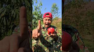 Removing Apple stickers 🍎 camping apple lifehacks outdoors [upl. by Arved]