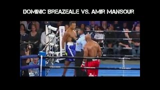 Dominic Breazeale vs Amir Mansour Highlights 2016 [upl. by Hilaire]