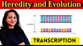 HEREDITY AND EVOLUTION  PART 4  CLASS 10  MAHARASHTRA BOARD [upl. by Kimball775]