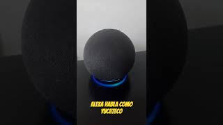 Alexa habla como Yucateco [upl. by Junno215]