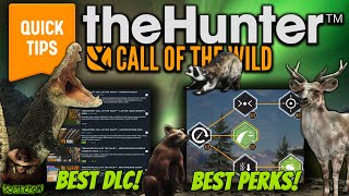 The Best Tips amp Tricks Guide For New Players In The Hunter Call of the wild 2023 [upl. by Nomelif817]