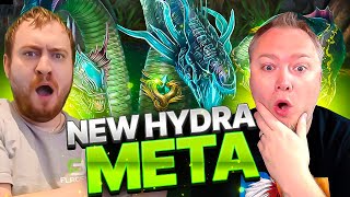 NEW HYDRA DPS META Raid Shadow Legends [upl. by Annaiel]