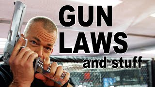 Some Gun Laws Are Stupid [upl. by Anelah]