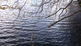 NaturWasser und Waldimpressionen 27 Chillout Entspannung Meditation Musik Music [upl. by Lubet]