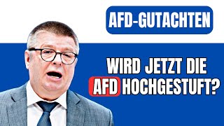 Haldenwang kündigt neues AfDGutachten an [upl. by Yhtak]