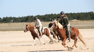 Tölt am Nordseestrand mit PFERD amp REITER [upl. by Massie660]