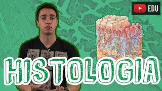 Biologia  Histologia  Visão Geral para o Enem e Vestibulares [upl. by Jecoa]