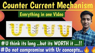 Counter Current Mechanism Concentration of Urine  Renal Physiology  hindi  Ashish Agrawal [upl. by Atile]