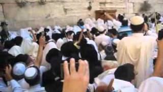 Birkat Kohanim at the Kotel  Sukkot 5772 [upl. by Aerdnod]