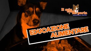 Educazione alimentare [upl. by Niela]