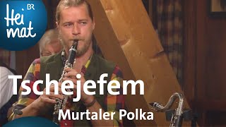 Tschejefem Murtaler Polka  Wirtshausmusikanten  BR Heimat  die beste Volksmusik [upl. by Burroughs]