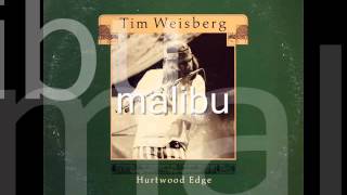 Tim Weisberg  Our Thing [upl. by Hnahk]