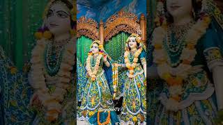 Sringar Arti darshan  ISKCON Mayapur Dham  13 November 2024 [upl. by Nimajneb709]