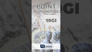 POINT D’ACUPUNCTURE  10GI  Shou San Li acupuncture acupuncturepoints medecinechinoise [upl. by Hort787]