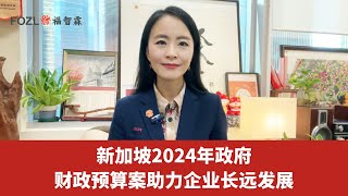 新加坡2024年政府财政预算案助力企业长远发展 [upl. by Dorisa]