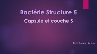 Bactérie Structure 5 CAPSULE et COUCHE S bactériennes sans musique de fond [upl. by Nunnery]