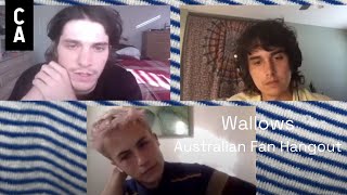 Wallows Australian Fan Hangout  Cool Accidents [upl. by Casi]