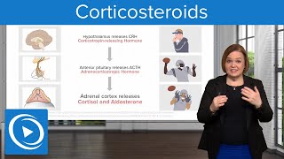 Corticosteroids – Pharmacology  Lecturio Nursing [upl. by Marquet]