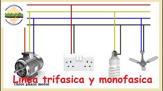 ⚠️Linea trifasica y monofasica en viviendas✅RESPONDO dudas de suscriptores [upl. by Onitrof]