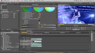 Premiere Pro Tutorial  Hype Williams Effect [upl. by Lomax]