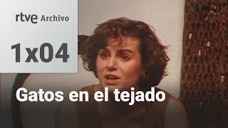 Gatos en el tejado Capítulo 4 Secretos en reunión  RTVE Archivo [upl. by Ert680]