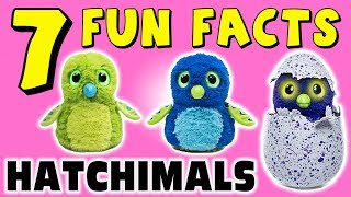 7 FUN FACTS ABOUT HATCHIMALS FACTS FOR KIDS Hatchimal Toys Learning Colors Eggs Sock Puppet [upl. by Trudie984]