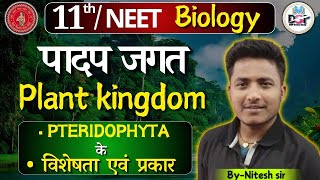 Classification of Pteridophyta टेरिडोफाइटा के वर्गीकरण।।by Nitesh sir बिल्कुल आसान भाषा में [upl. by Oramug]