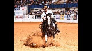 NOTHING BUT BLU shown by CAYLEY WILSON 2022 Open Snaffle Bit Futurity Rein  225 [upl. by Nodmac]