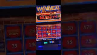 ⚡ Cheeky Grand Jackpot on Lightning Cash 🍻🎰 Pub Pokies Win [upl. by Eibmab]