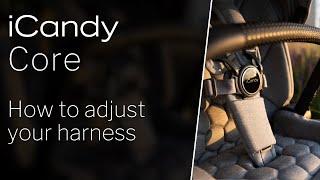 iCandy Core Pushchair  How to Adjust Your Harness [upl. by Ximenez]