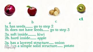 What is a dichotomous key EMS [upl. by Nodal14]