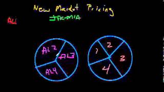 Airline Pricing  Part 4  New Market Pricing [upl. by Lleda645]