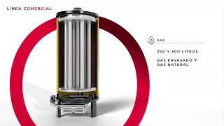 Conocé la línea Profesional de Termotanques Comerciales a gas y eléctricos Rheem [upl. by Wiatt831]