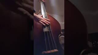 Doublebass Strings Evah Pirazzi Slap Gut Strings Superior GripMax [upl. by Artus]