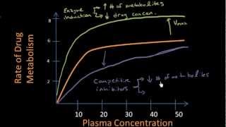 Competitive Inhibition Overview  Pharmacokinetics Lect 17 [upl. by Wilhelmina]