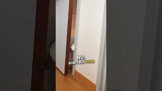 Cat Struggles to Open Door 😹 🚪 [upl. by Eerehs]