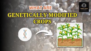 Understanding Genetically Modified Crops  Terra Tales by Varsha [upl. by Jodie]