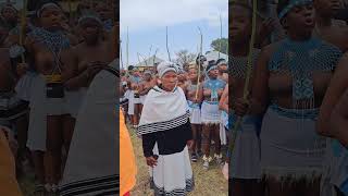 Mpondo Reed Dance 2024 Lwandlolubomvu Great Place Ntabankulu [upl. by Killarney376]