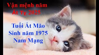 Tử vi Tuổi Ất Mão 1975 Nam mạng năm Ất Tỵ 2025 Sự nghiệp tài vận tình duyên và gia đạo [upl. by Chad]