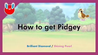 How to get Pidgey in Pokémon Brilliant Diamond amp Shining Pearl 016 [upl. by Natale]