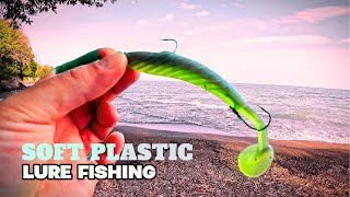 Beginners Guide to Soft Plastic Fishing  Stop Missing Fish with Soft Plastic Lures [upl. by Warchaw502]